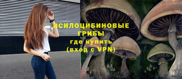 PSILOCYBIN Арсеньев