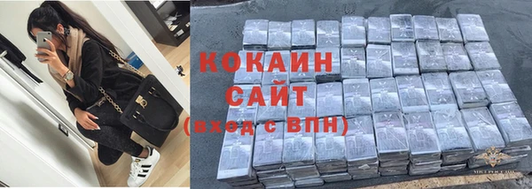 прущие грибы Армянск