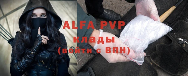 прущие грибы Армянск