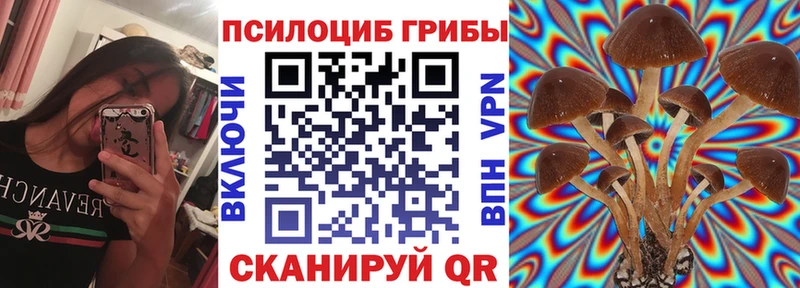 Псилоцибиновые грибы Cubensis  kraken ССЫЛКА  Пустошка 