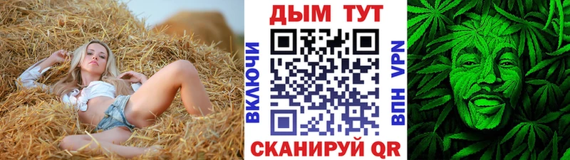 Каннабис план  Пустошка 